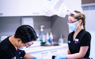 Who Does the Best Dental Fillings in Melton? It Comes Down to One Principle