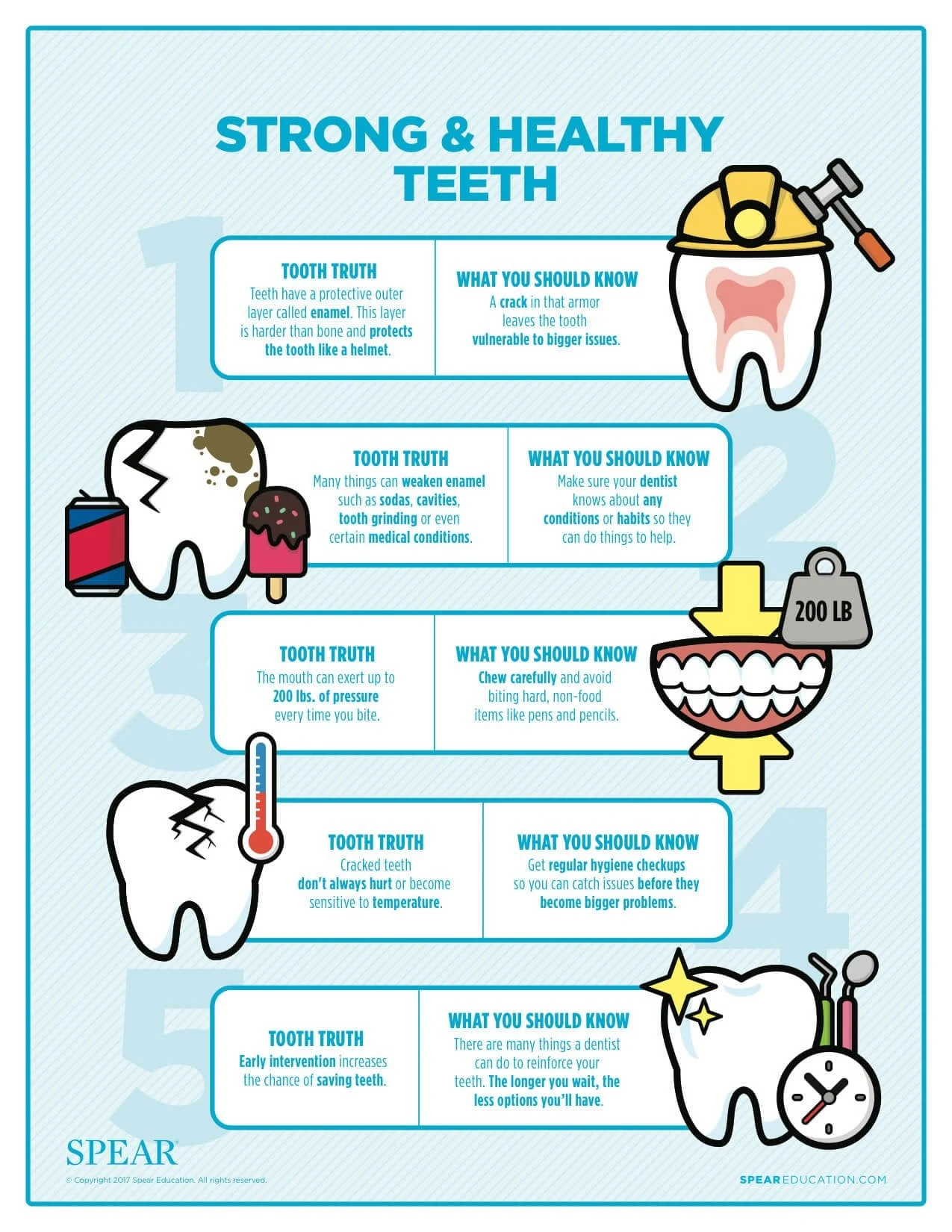 Strong and Healthy Teeth Dental House Dental Infographics StrongandHealthyTeeth 1