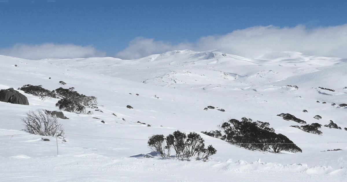 Oral Health During Winter: Problems & Care Tips Oral Health During Winter Melbourne