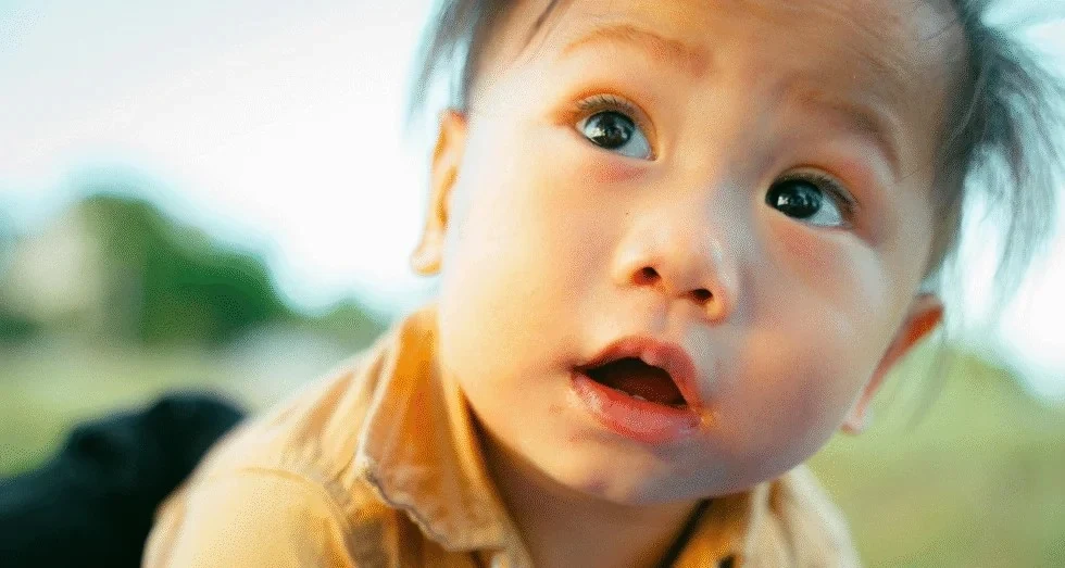 Playground Accidents and Dental Drama How to Handle Common Childhood Tooth Injuries in Melton Dental House